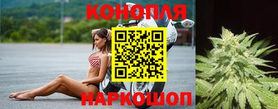 кокс Нальчик