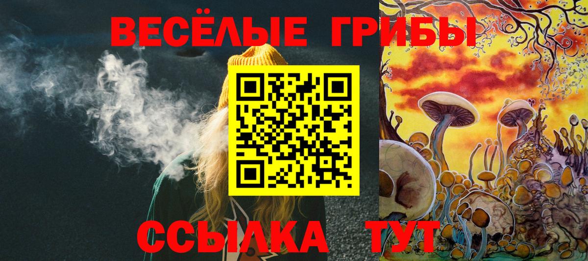 купить наркотик  Галлюциногенные грибы Psilocybine cubensis  Вход с VPN  Саяногорск 