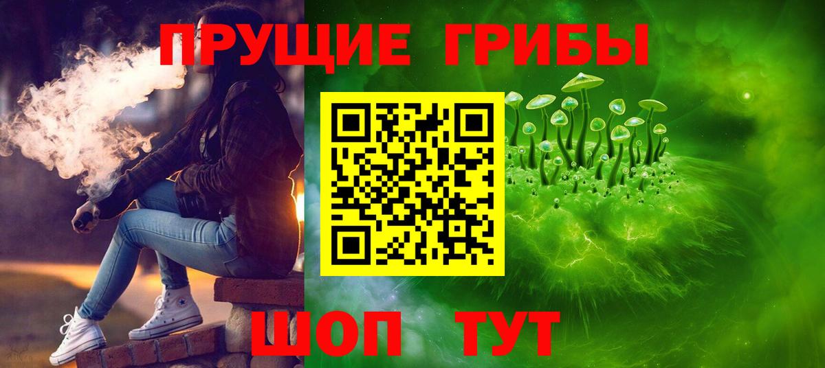Псилоцибиновые грибы GOLDEN TEACHER Саяногорск